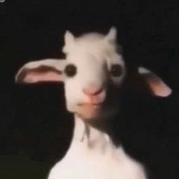 Meet your Posher, Naut - Picture 1 of 1